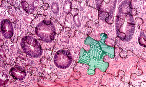 digitale pathologie