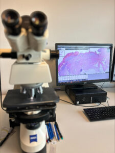 digitale pathologie